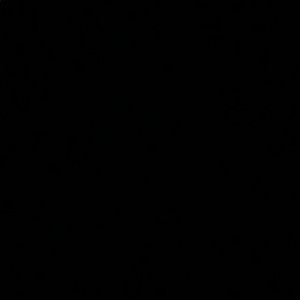 Meet your Posher, Delana